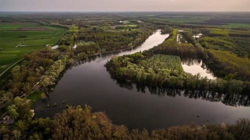 Tisza ártár