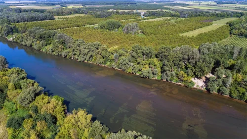 Tisza folyó