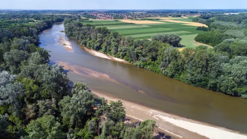 Szamos kisvíz (Komlodtótfalu)